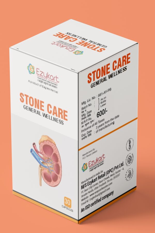  STONE CARE CAP - Image 9